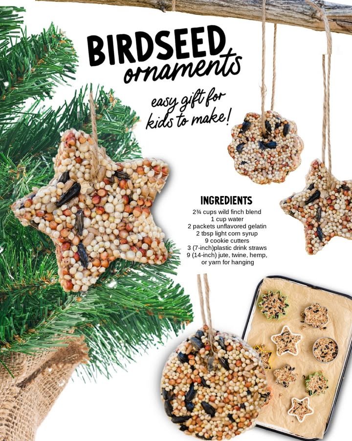 Birdseed Ornaments