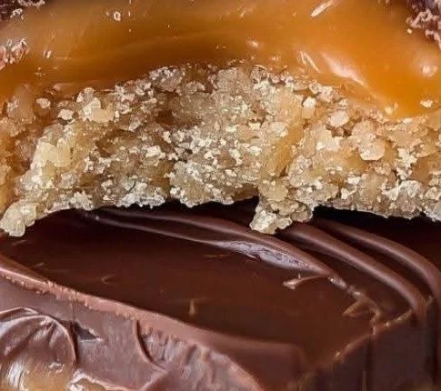 Chocolate Peanut Butter Caramel Bars