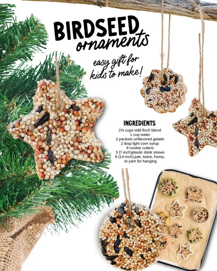 Colorful birdseed ornaments hanging in a garden for bird attraction.