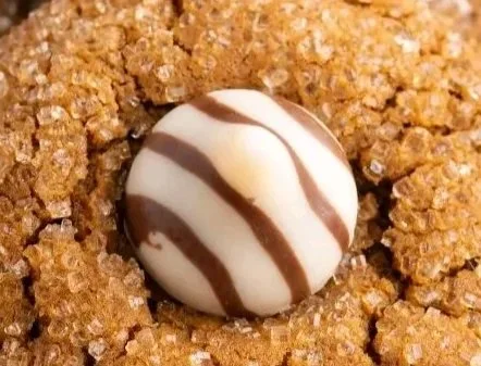Ginger Molasses Kiss Cookies drizzled with chocolate, perfect for holiday treats.