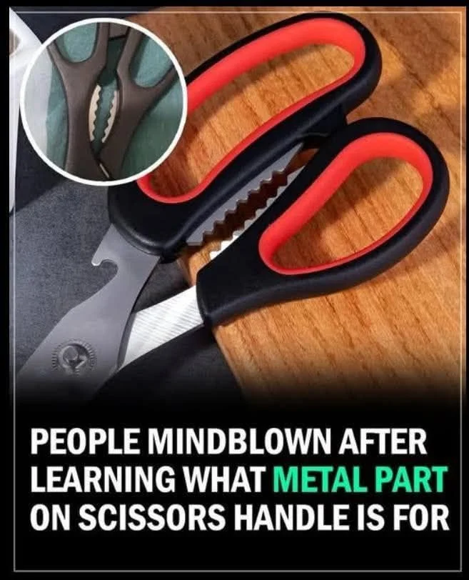 Person surprised by new insights, expressing excitement about learning something they had no clue about.