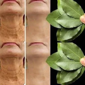 Bay leaf benefits for skin health and wrinkle reduction