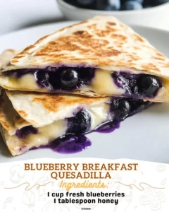 Delicious blueberry quesadilla served on a plate for breakfast