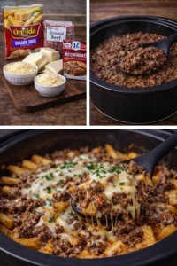 Cheesy loaded fries topped with beef and mozzarella