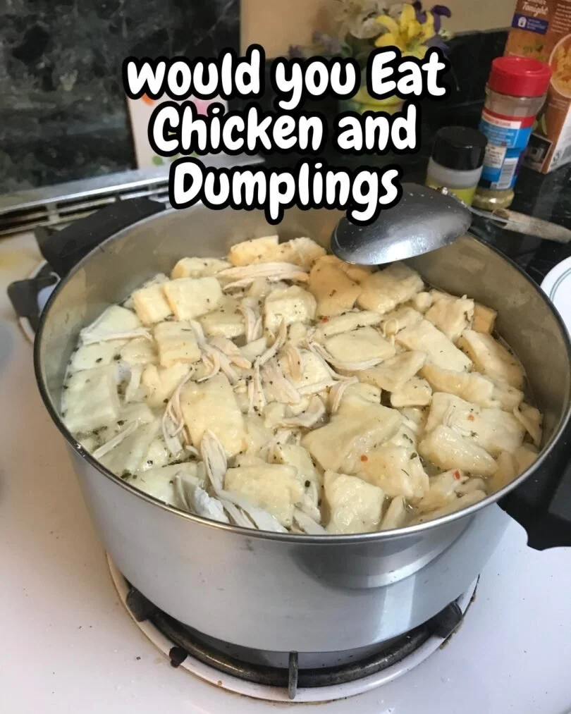 Delicious bowl of Chicken and Dumplings with tender chicken and fluffy dumplings