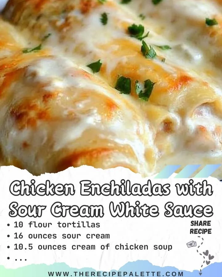 Delicious chicken enchiladas topped with sour cream white sauce