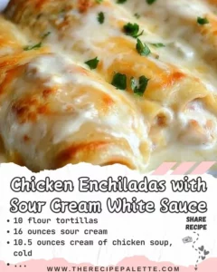 Chicken enchiladas with sour cream white sauce on a plate