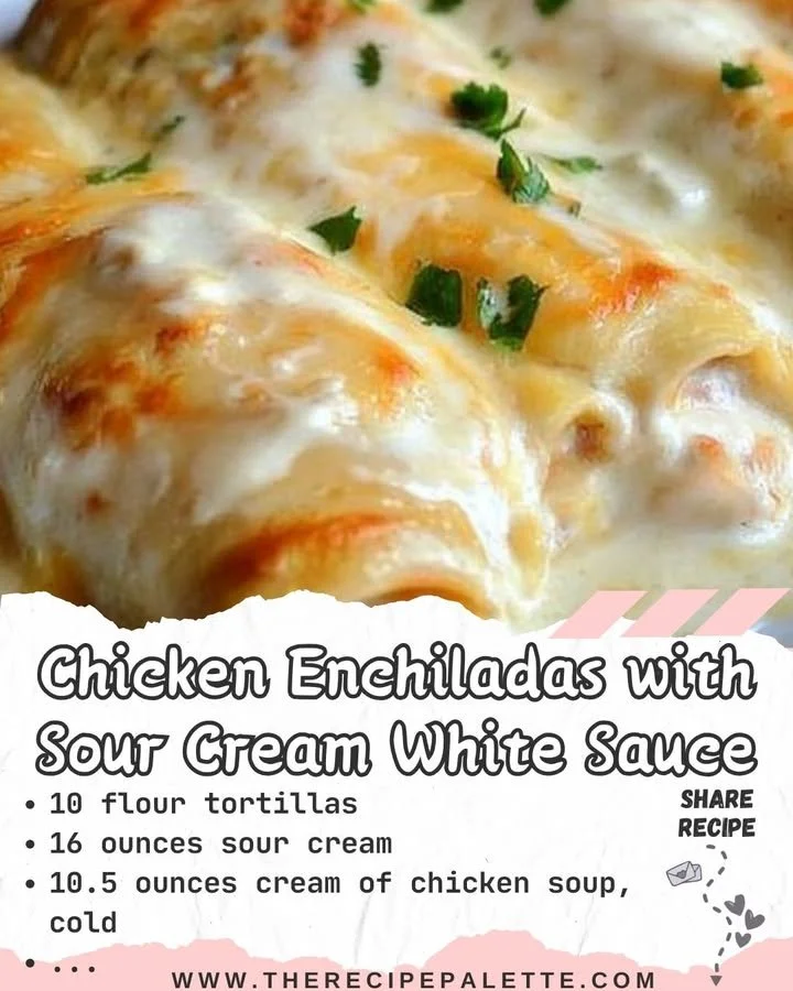 Chicken enchiladas with sour cream white sauce on a plate