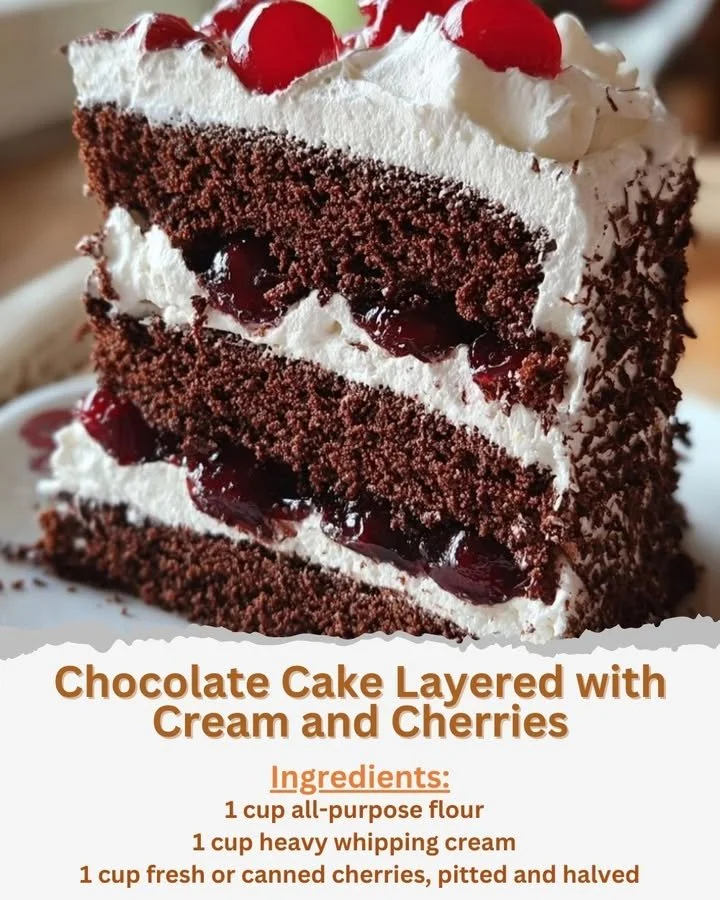 Delicious chocolate cake layered with cream and fresh cherries.