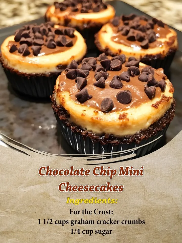 Delicious chocolate chip mini cheesecakes served on a platter.