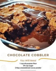 Delicious Chocolate Cobbler with gooey chocolate sauce and a rich topping.