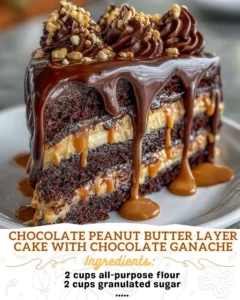 Chocolate peanut butter layer cake topped with smooth chocolate ganache