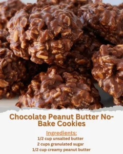 Delicious chocolate peanut butter no-bake cookies on a plate