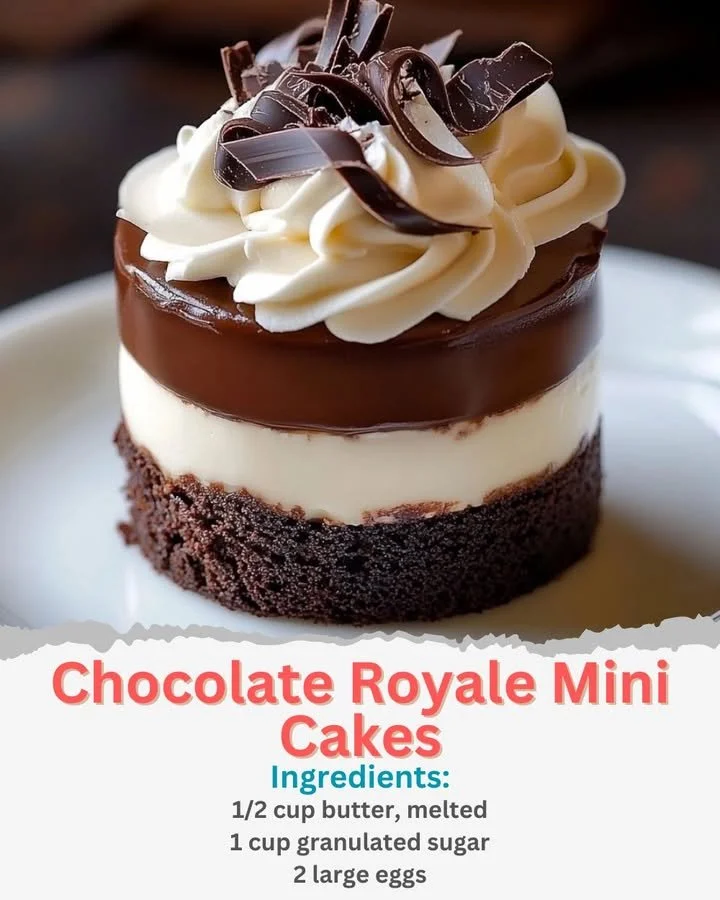 Delicious Chocolate Royale Mini Cakes served on a platter for dessert