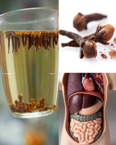 A glass of clove water with whole cloves and fresh herbs