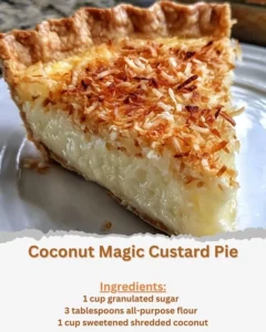 Coconut Magic Custard Pie with layered creamy texture and coconut topping