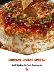 Delicious company cheese spread for snacks and entertaining