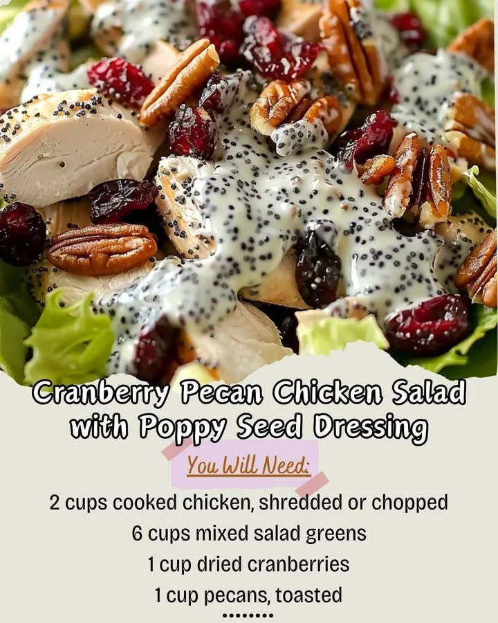 Cranberry Pecan Chicken Salad with Poppy Seed Dressing