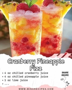 Cranberry Pineapple Fizz cocktail in a glass with fresh fruits