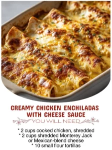 Delicious creamy chicken enchiladas topped with cheese sauce on a white plate