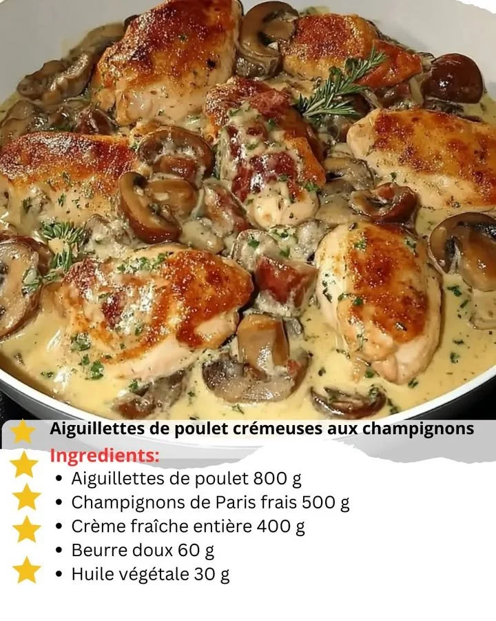 Creamy chicken strips with mushrooms served on a plate