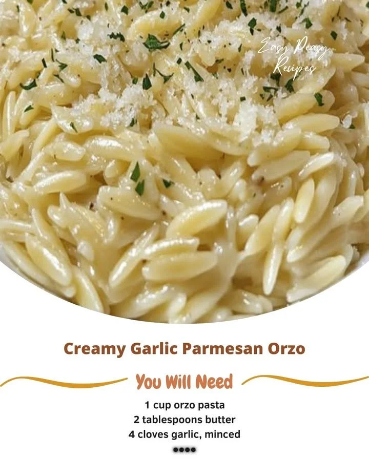 Creamy garlic parmesan orzo dish garnished with herbs