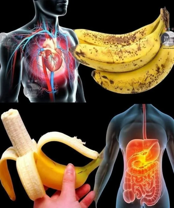 Did you know that eating bananas increases... See more