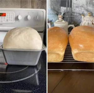Freshly baked loaf of bread from an easy bread recipe