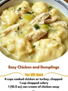 Bowl of easy Chicken and Dumplings with herbs and vegetables