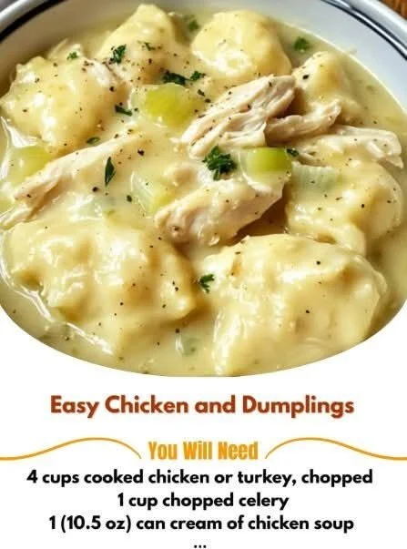 Bowl of easy Chicken and Dumplings with herbs and vegetables