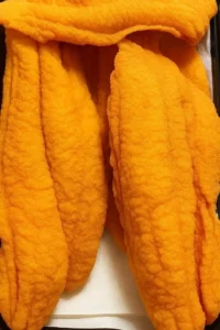 Delicious plate of crispy Fried Catfish with sides and dipping sauce