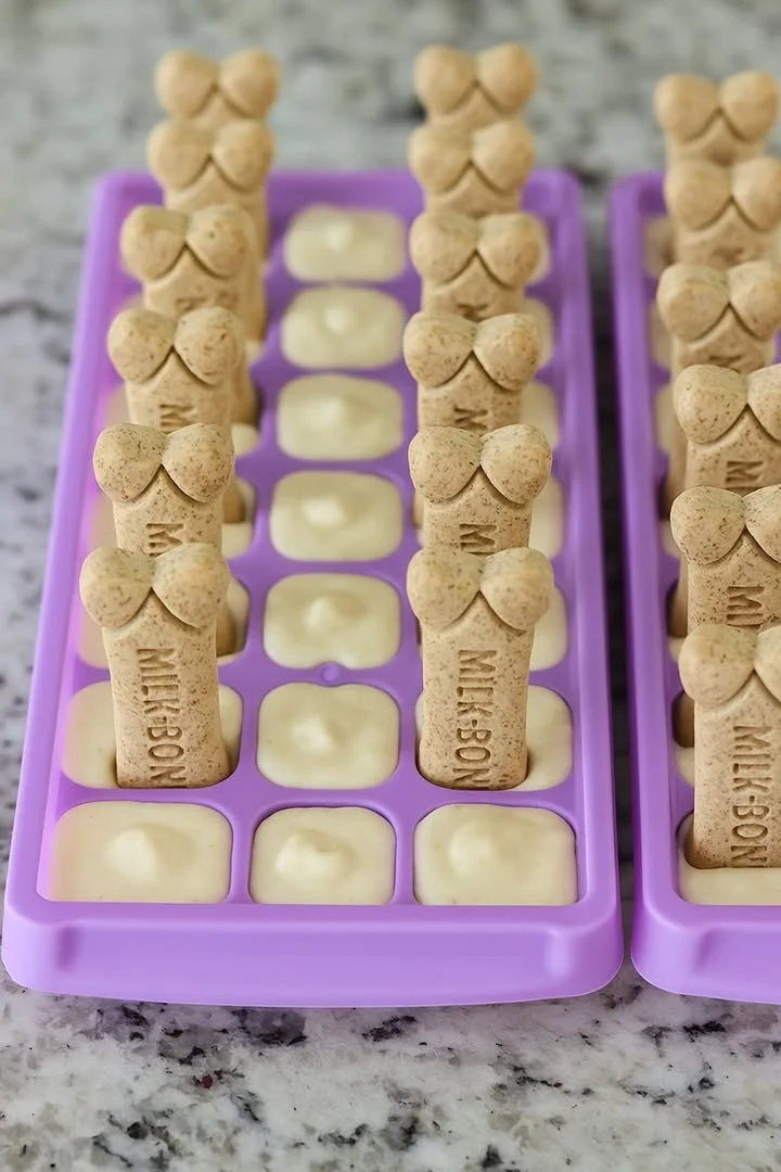 Dog enjoying a bowl of homemade dog ice cream treat