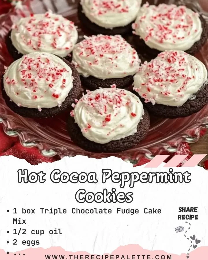 Hot Cocoa Peppermint Cookies with chocolate and peppermint topping