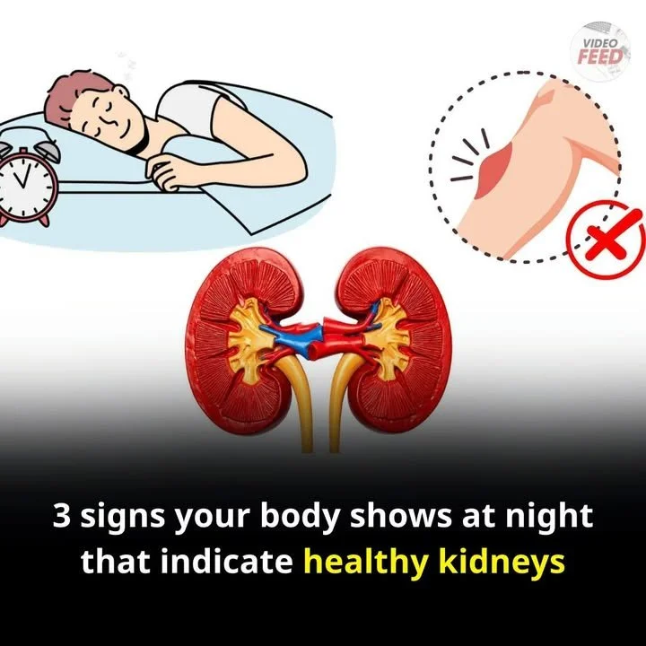Signs of healthy kidneys observed at night, highlighting kidney wellness.