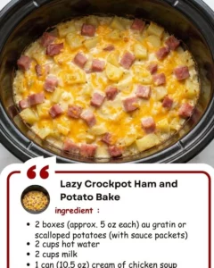 Lazy Crockpot Ham and Potato Bake dish served in a bowl, garnished with herbs.