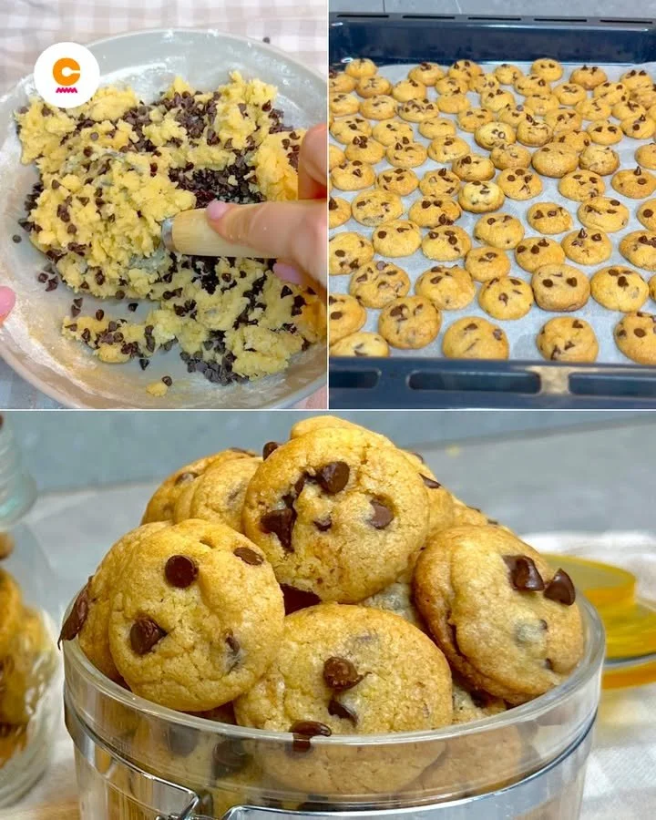 Assorted mini cookies on a plate, perfect for snacking and sharing.