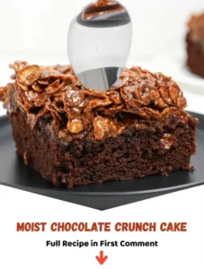 Moist chocolate crunch cake topped with rich chocolate frosting and crispy texture.