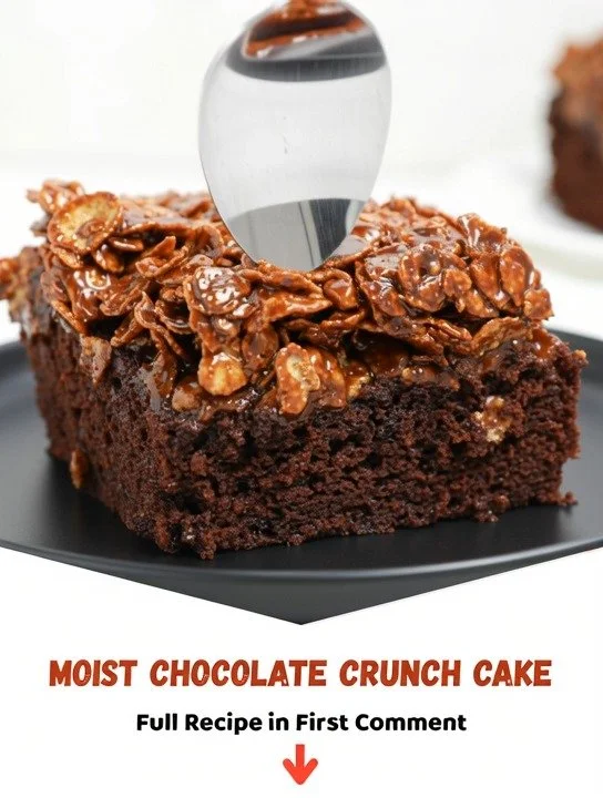 Moist chocolate crunch cake topped with rich chocolate frosting and crispy texture.