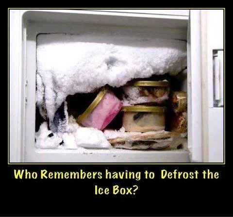 A classic kitchen defrost method my mom used to ensure safe food preparation.