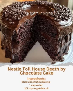 Delicious slice of Nestle Toll House Death by Chocolate Cake with chocolate frosting