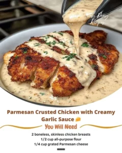 Parmesan Crusted Chicken served with creamy garlic sauce on a plate
