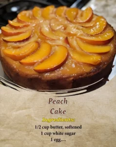 Delicious homemade peach cake with fresh peaches on top