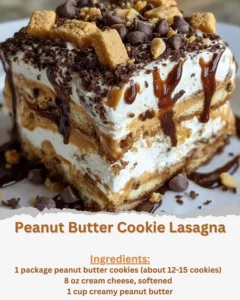 Delicious slice of Peanut Butter Cookie Lasagna topped with creamy peanut butter and chocolate.
