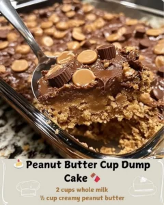 Delicious Peanut Butter Cup Dump Cake with chocolate and peanut butter layers