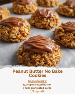 Delicious Peanut Butter No Bake Cookies arranged on a plate