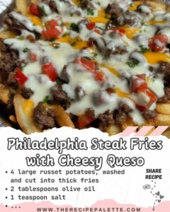 Plate of Philadelphia steak fries topped with melted cheesy queso