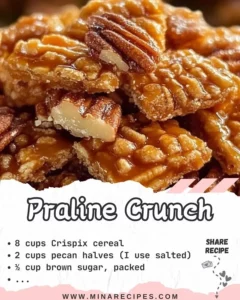 Delicious Praline Crunch dessert with a crunchy nutty topping.