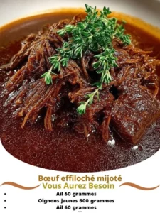 A bowl of hearty shredded beef stew with vegetables and spices