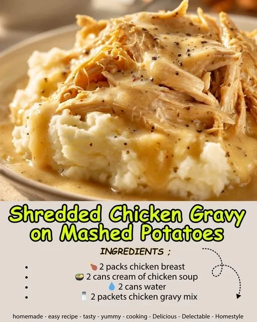 Plate of shredded chicken gravy on mashed potatoes