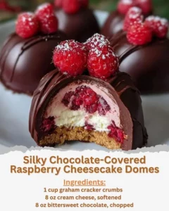 Silky chocolate-covered raspberry cheesecake domes on a decorative plate